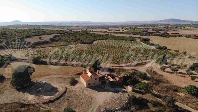 5 slaapkamer Finca/Landhuis te koop in Almansa - € 560.000 (Ref: 8586659)