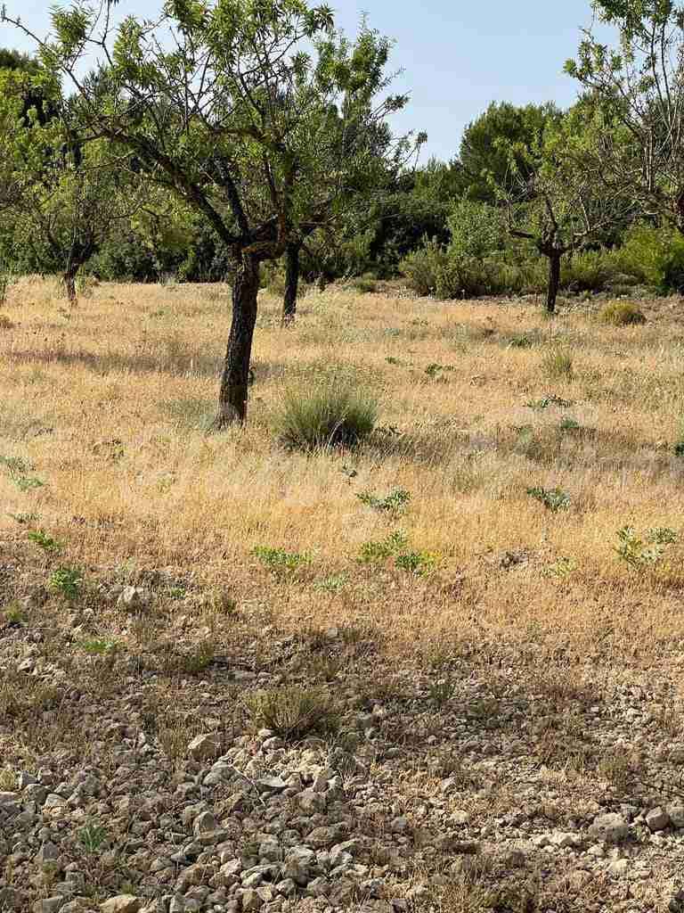 5 soveværelse Finca/Landehus til salg i Almansa - € 560.000 (Ref: 8586659)