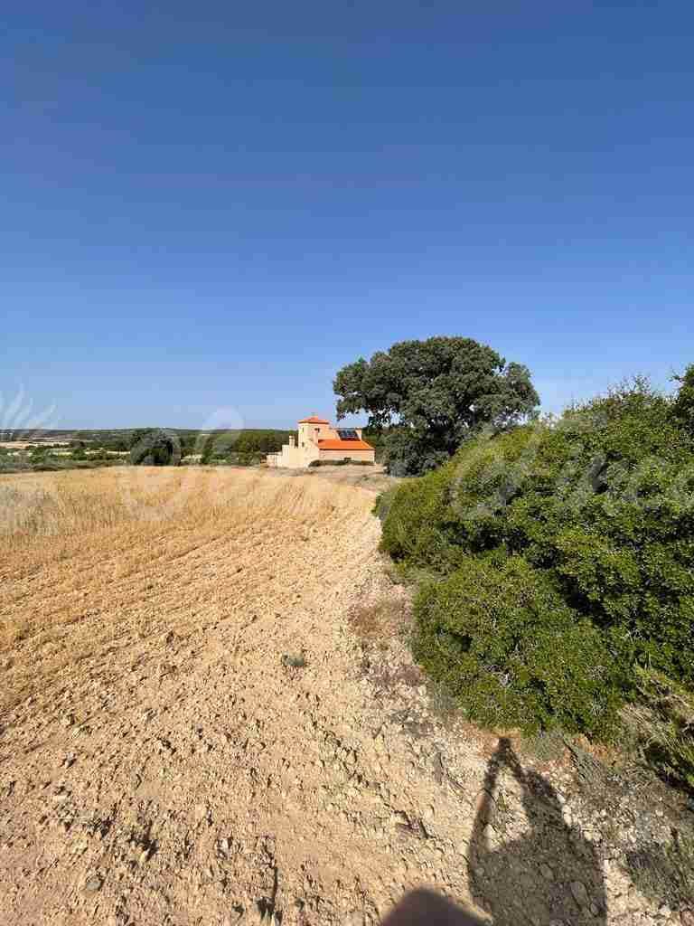 5 soveværelse Finca/Landehus til salg i Almansa - € 560.000 (Ref: 8586659)
