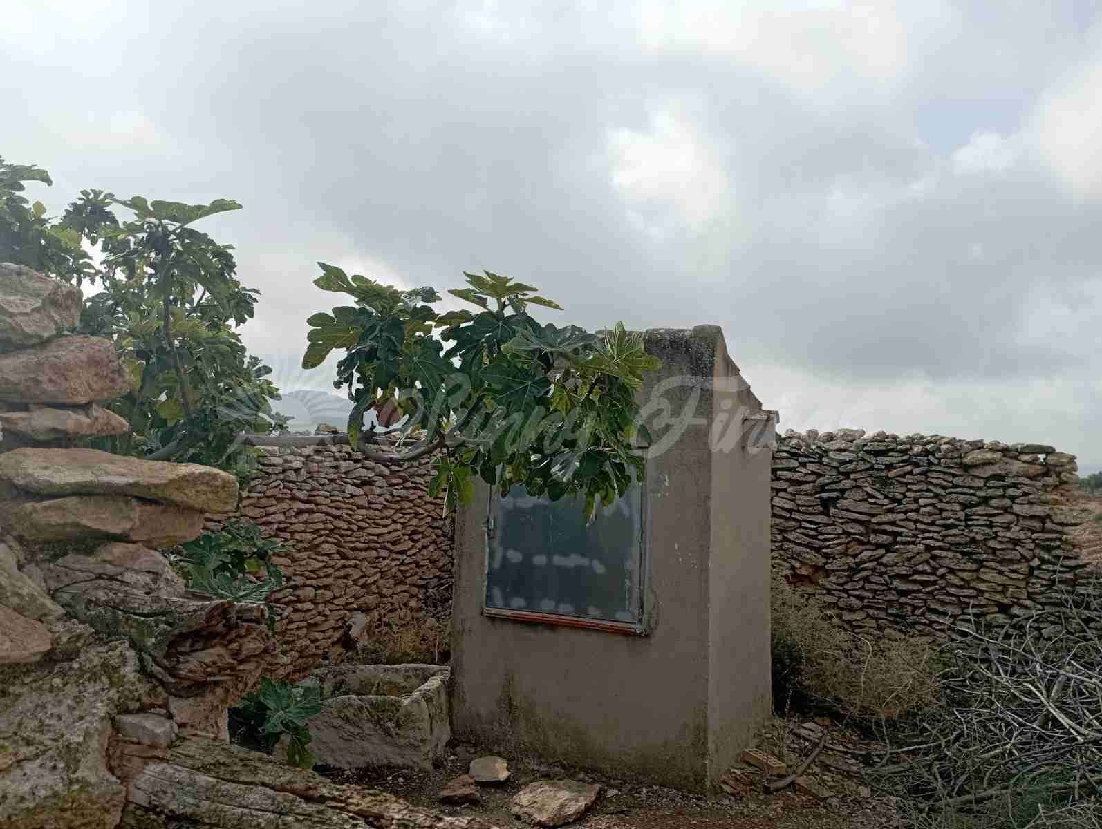 Finca/Herregård til salgs i Yecla - € 39 000 (Ref: 8594398)