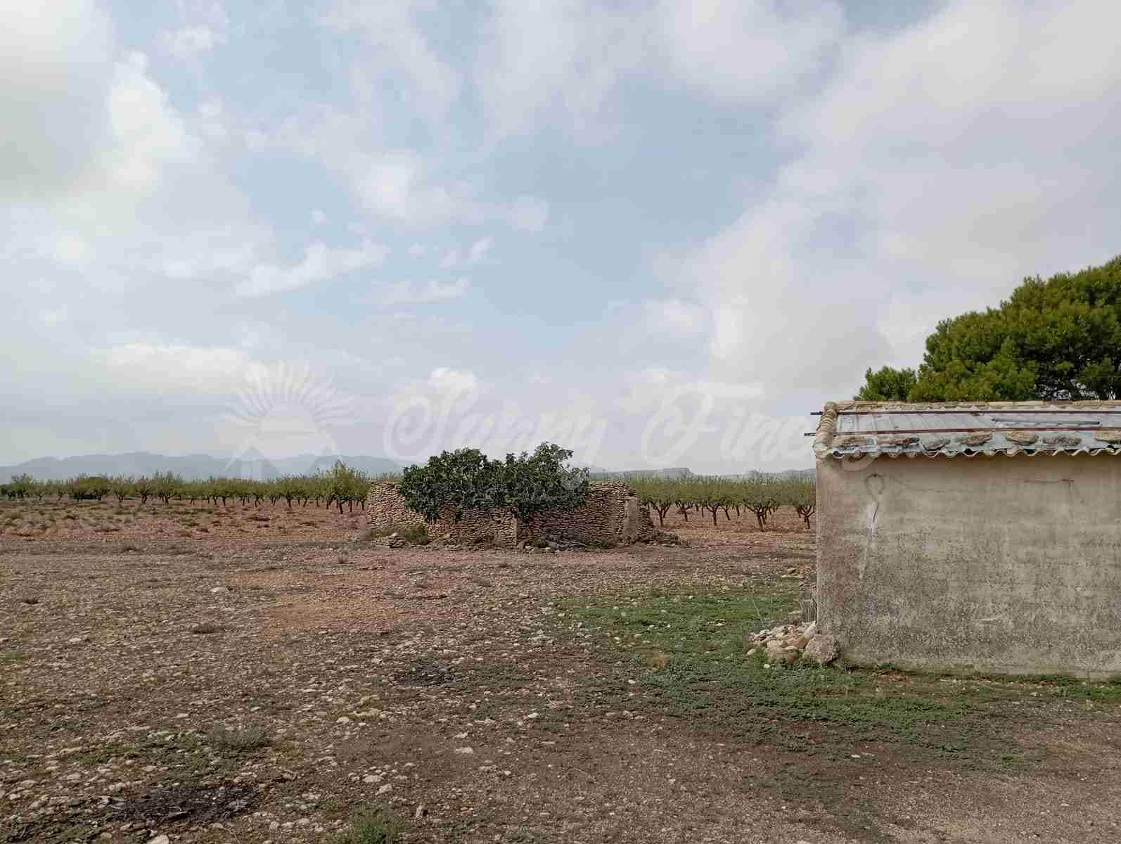 Finca/Herregård til salgs i Yecla - € 39 000 (Ref: 8594398)