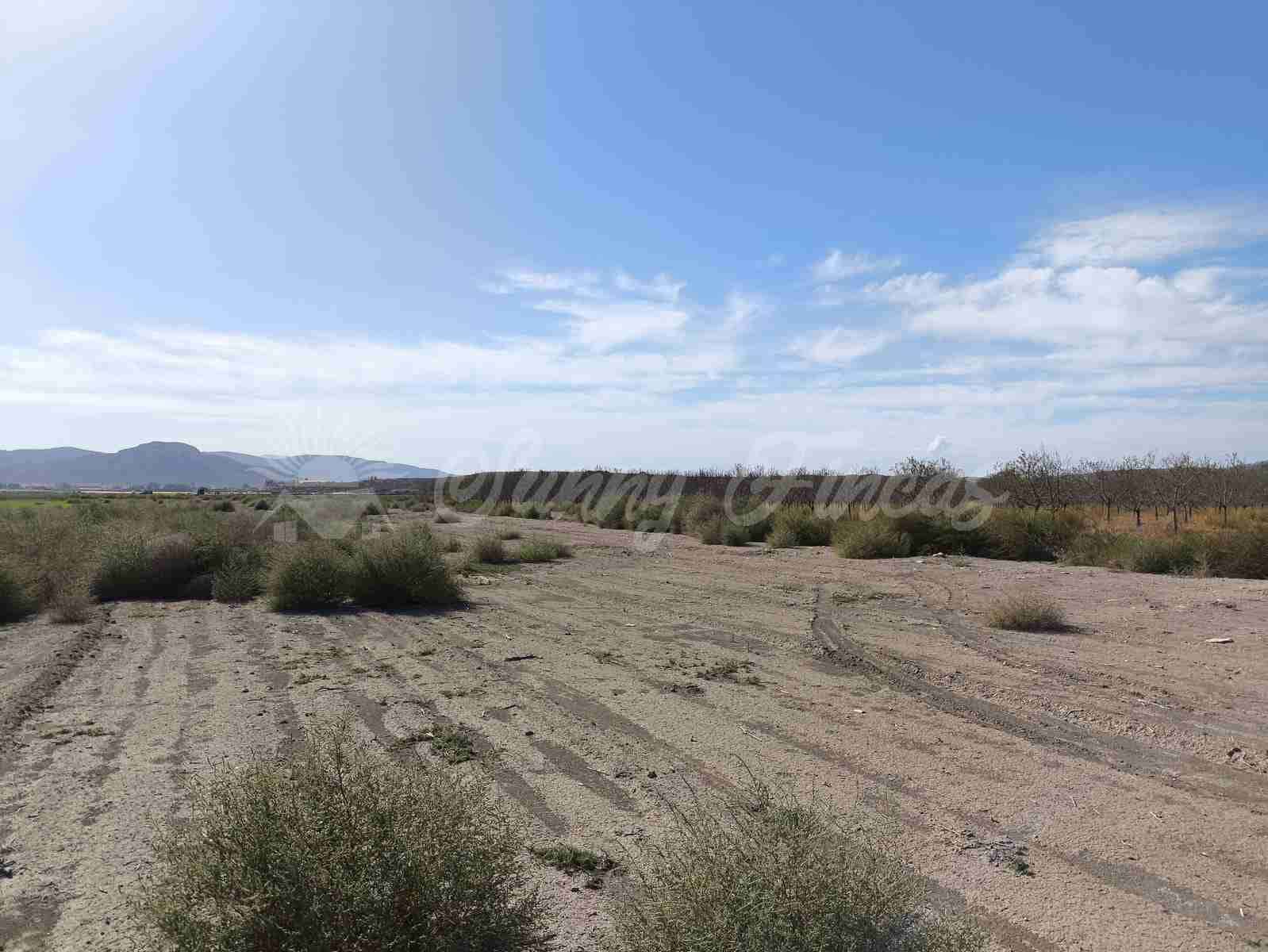 Byggetomt til salgs i Villena - € 37 500 (Ref: 8676553)