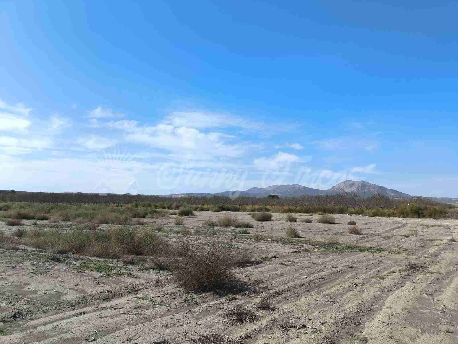 Byggetomt til salgs i Villena - € 37 500 (Ref: 8676553)