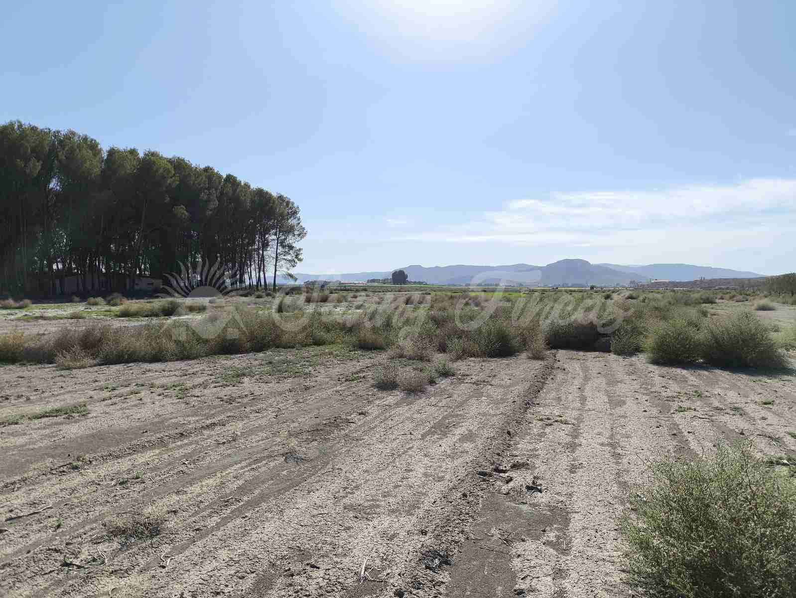 Byggetomt til salgs i Villena - € 37 500 (Ref: 8676553)