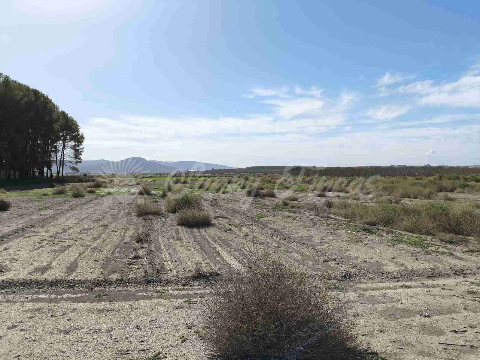 Byggetomt til salgs i Villena - € 37 500 (Ref: 8676553)