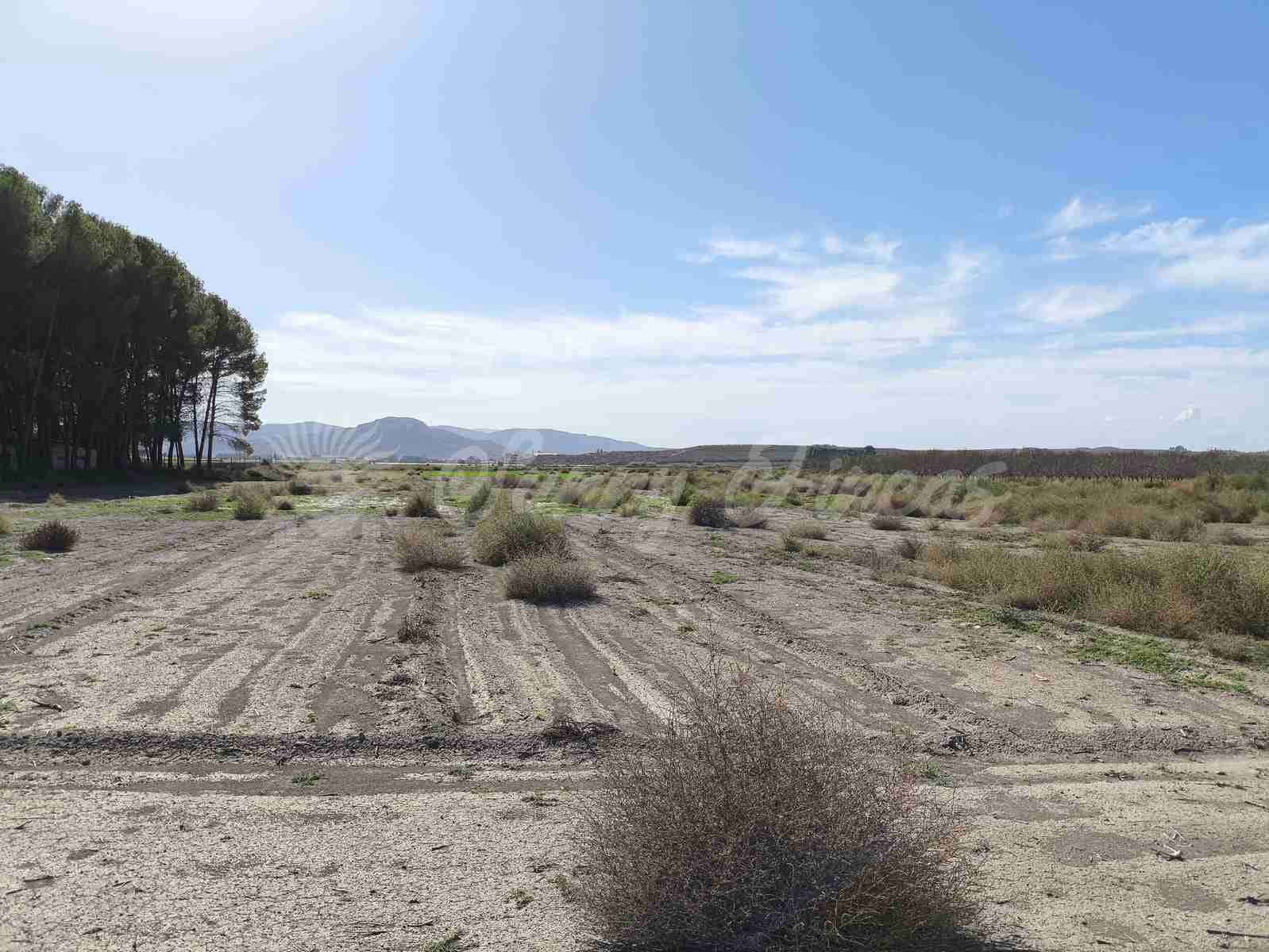 Byggetomt til salgs i Villena - € 37 500 (Ref: 8676553)