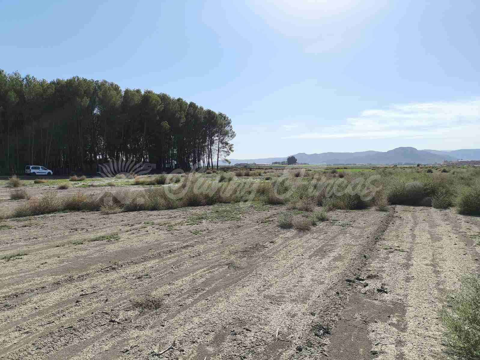 Byggetomt til salgs i Villena - € 37 500 (Ref: 8676553)