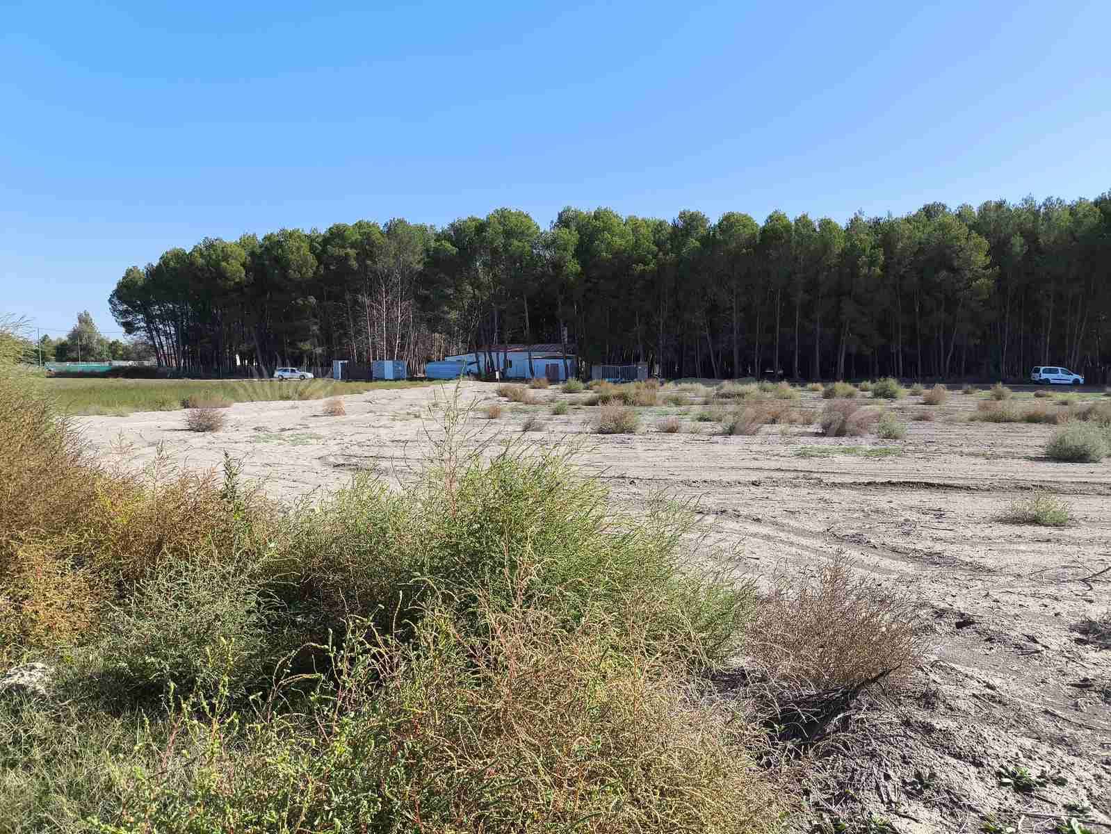 Byggetomt til salgs i Villena - € 37 500 (Ref: 8676553)