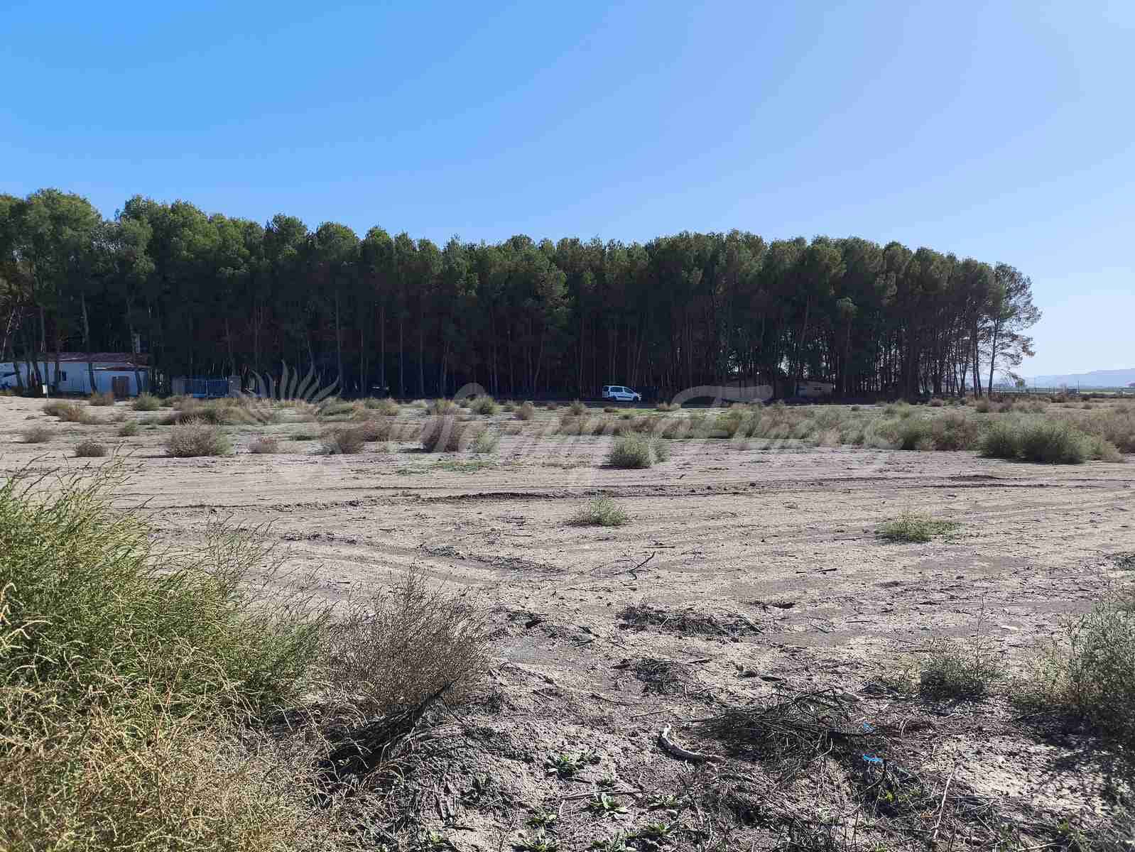 Byggetomt til salgs i Villena - € 37 500 (Ref: 8676553)