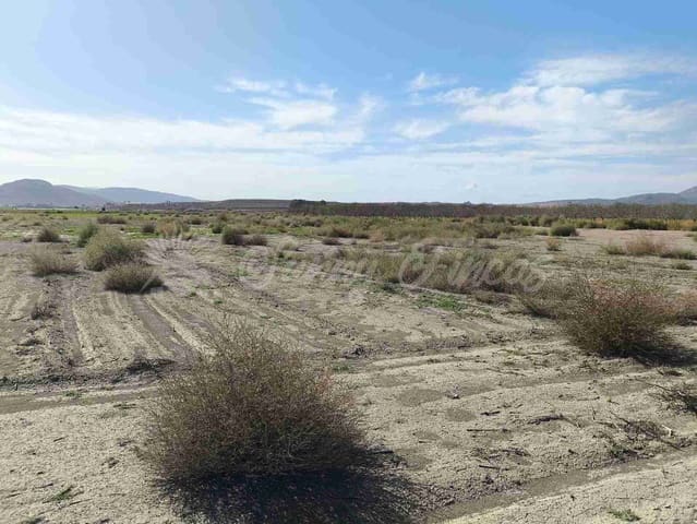 Tomt till salu i Villena - 37 500 € (Ref: 8676553)