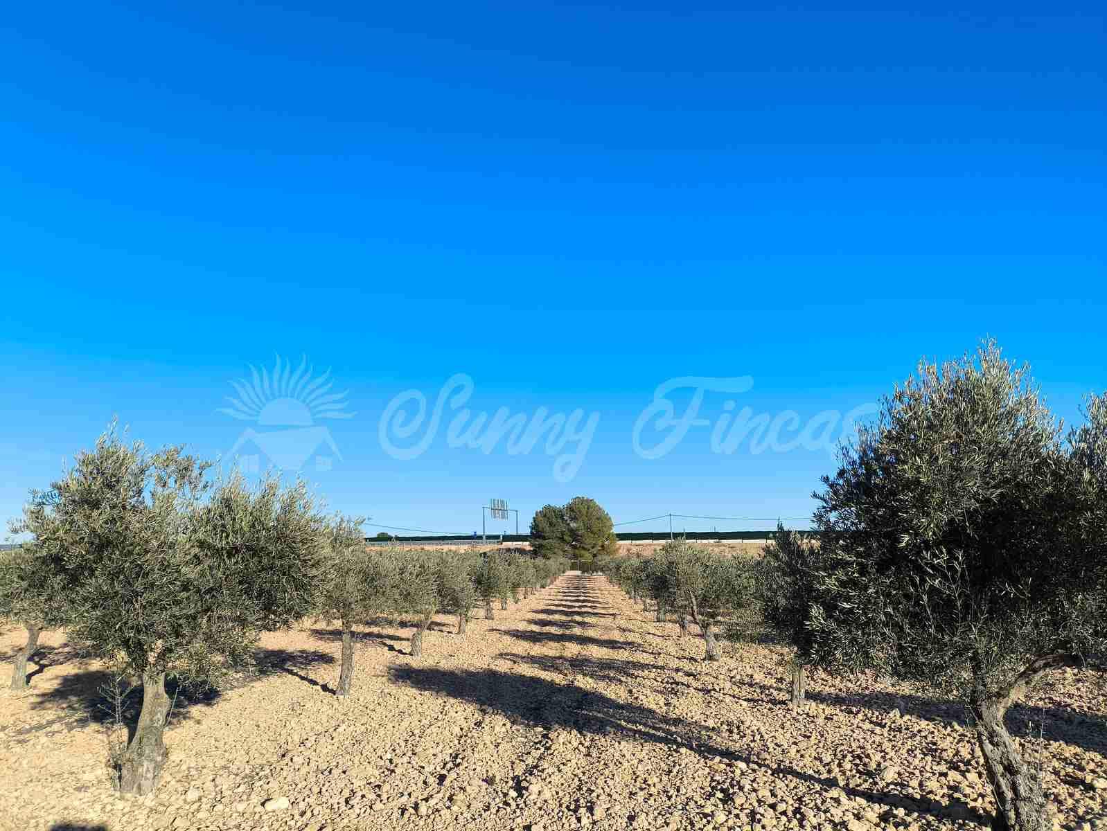 10 soveværelse Finca/Landehus til salg i Yecla med swimmingpool garage - € 185.000 (Ref: 8823507)