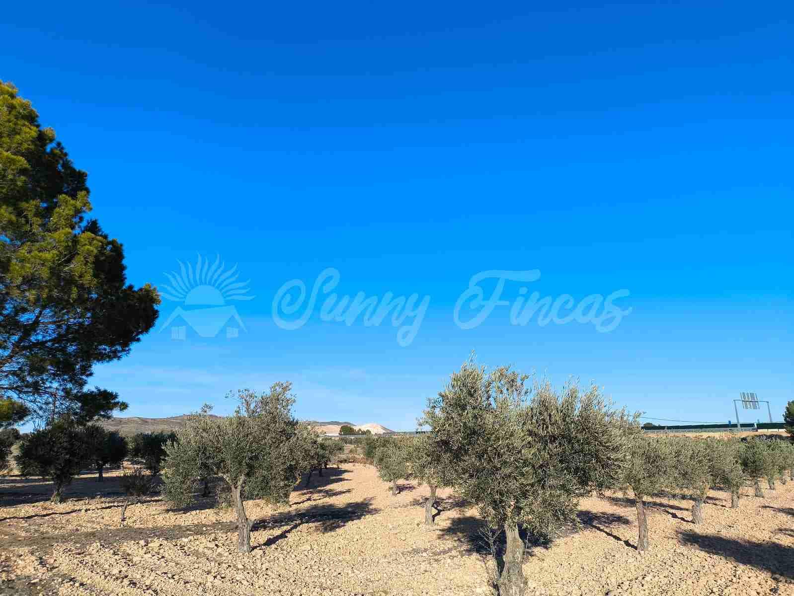 10 soveværelse Finca/Landehus til salg i Yecla med swimmingpool garage - € 185.000 (Ref: 8823507)