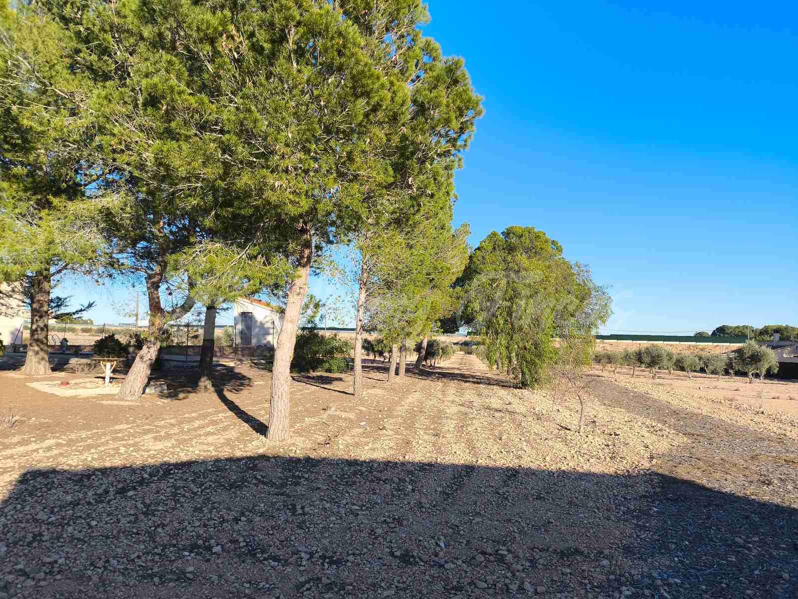 10 soveværelse Finca/Landehus til salg i Yecla med swimmingpool garage - € 185.000 (Ref: 8823507)