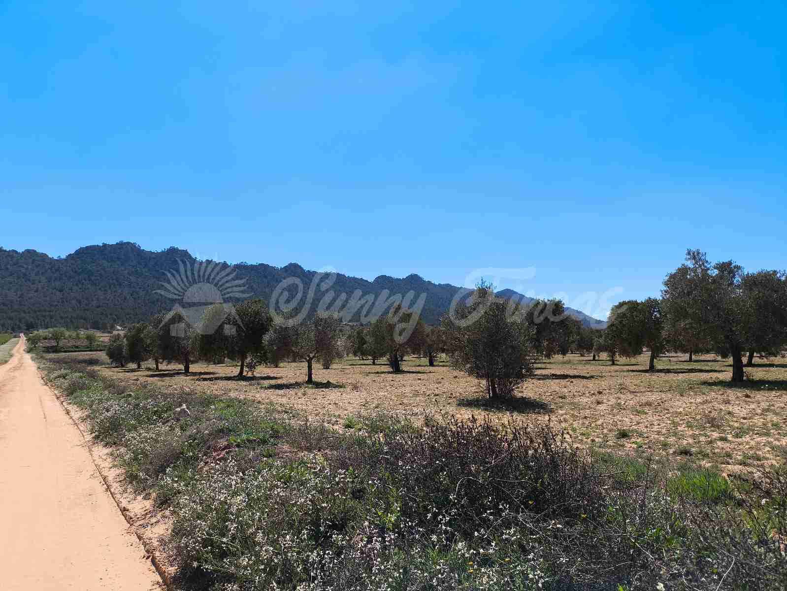 Byggegrund til salg i Yecla - € 26.500 (Ref: 8953518)