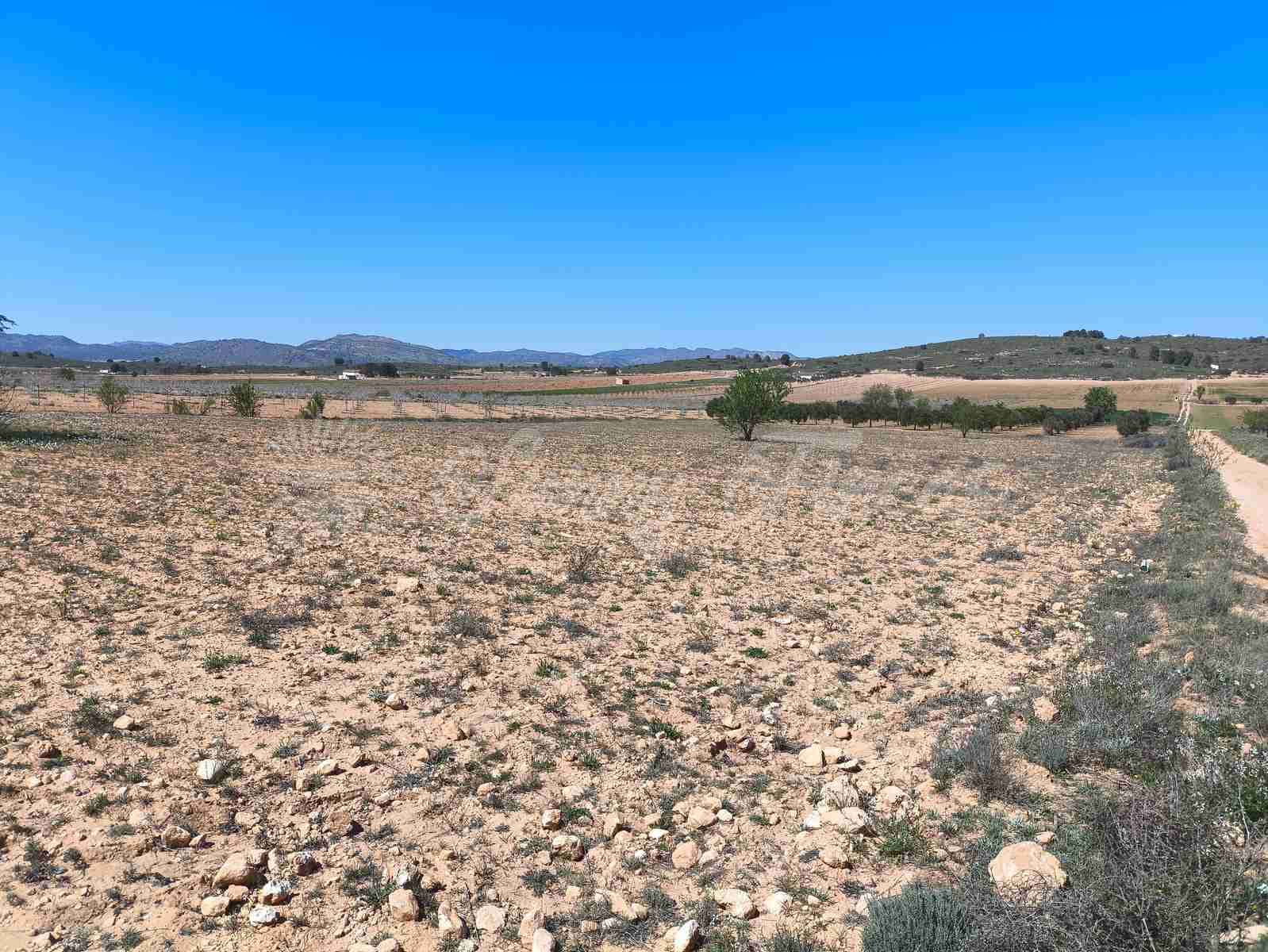 Byggegrund til salg i Yecla - € 26.500 (Ref: 8953518)