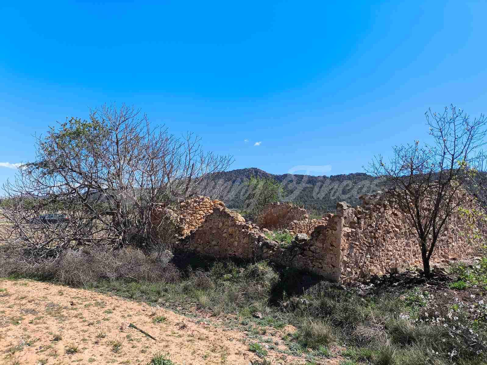 Byggegrund til salg i Yecla - € 26.500 (Ref: 8953518)