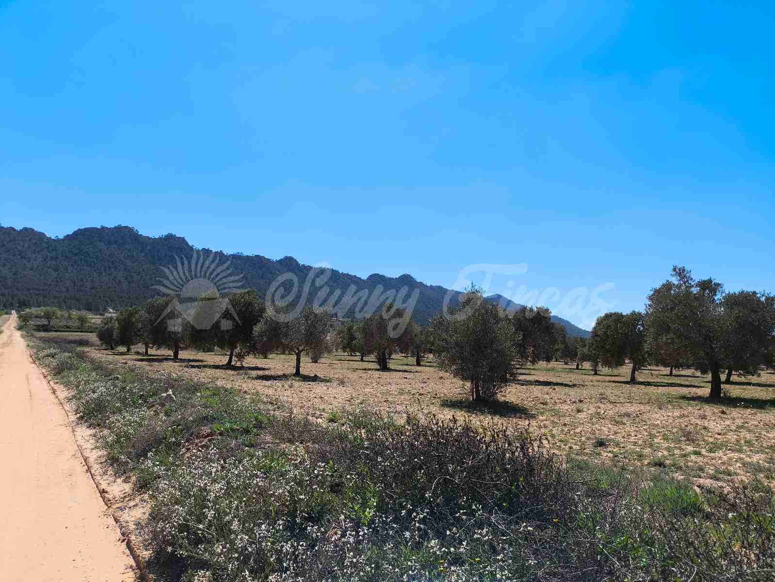 Byggegrund til salg i Yecla - € 26.500 (Ref: 8953518)