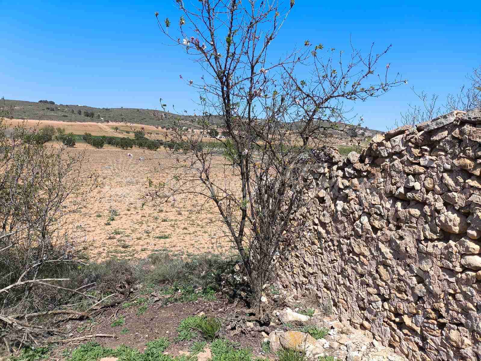 Byggegrund til salg i Yecla - € 26.500 (Ref: 8953518)