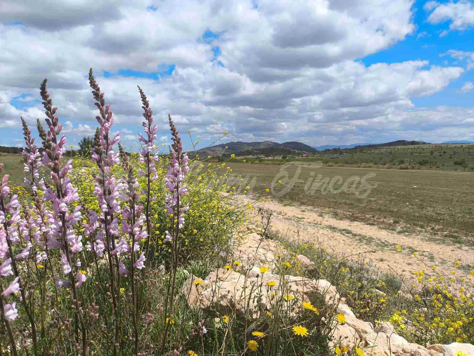 2 bedroom Finca/Country House for sale in Yecla with pool garage - € 250,000 (Ref: 8954851)