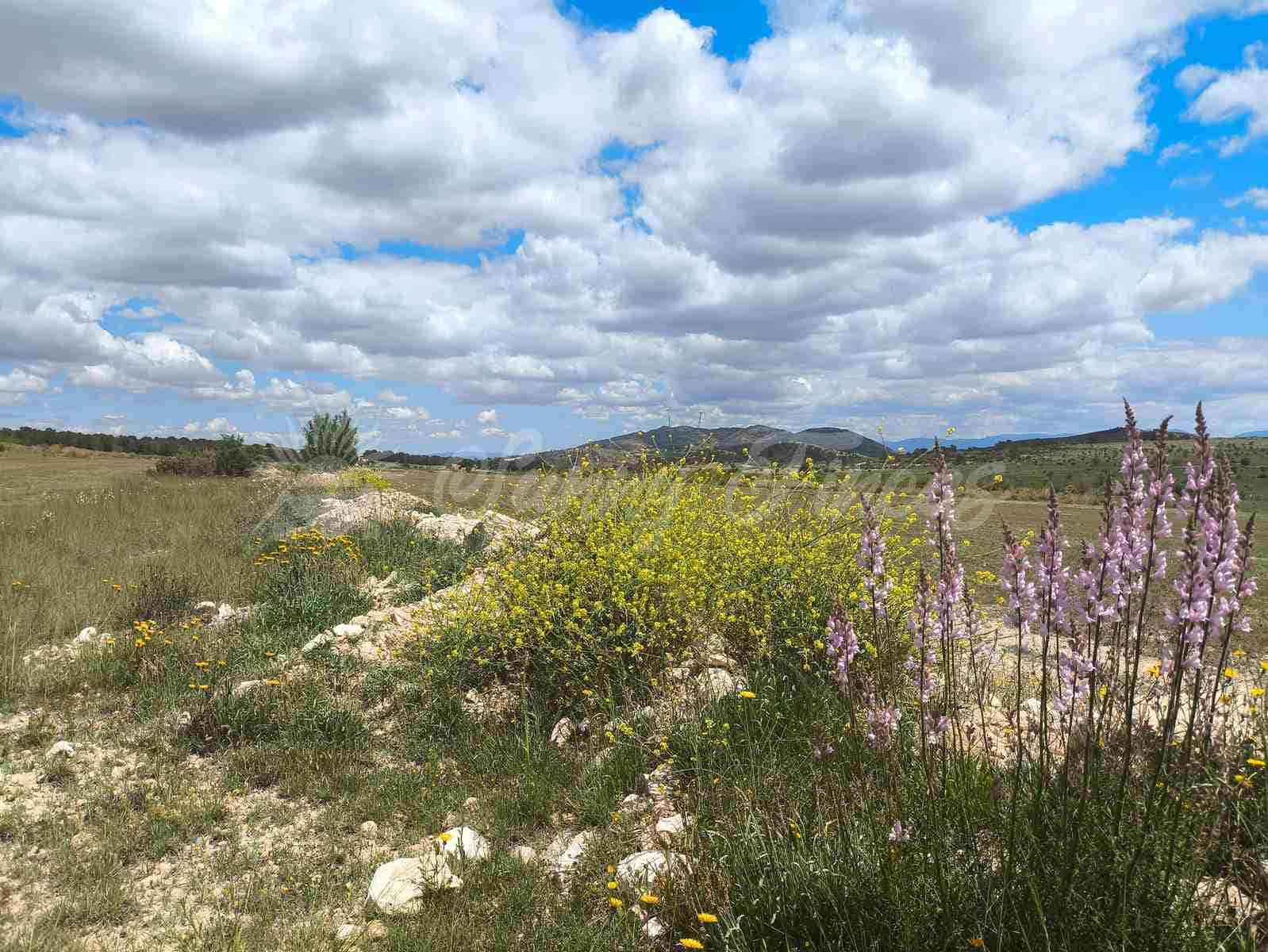 2 bedroom Finca/Country House for sale in Yecla with pool garage - € 250,000 (Ref: 8954851)
