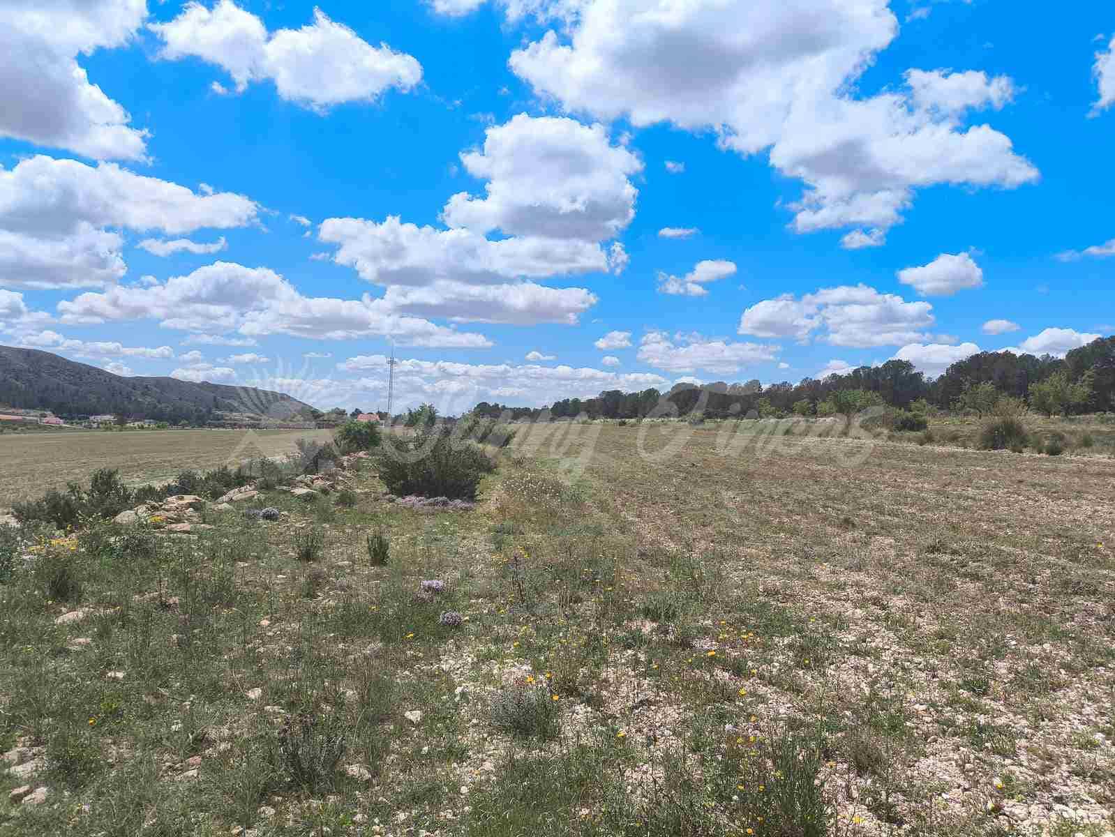 2 bedroom Finca/Country House for sale in Yecla with pool garage - € 250,000 (Ref: 8954851)