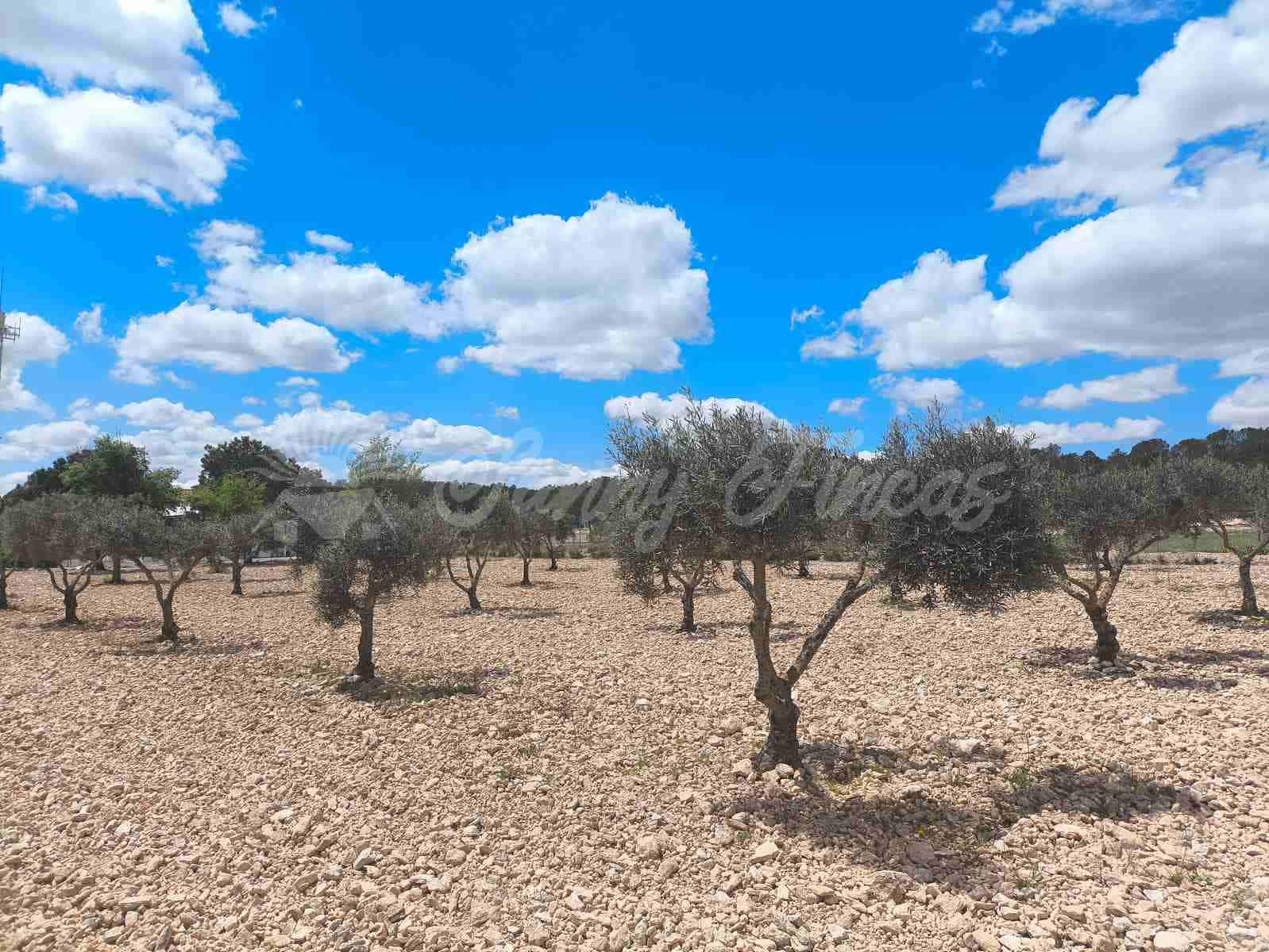 2 bedroom Finca/Country House for sale in Yecla with pool garage - € 250,000 (Ref: 8954851)