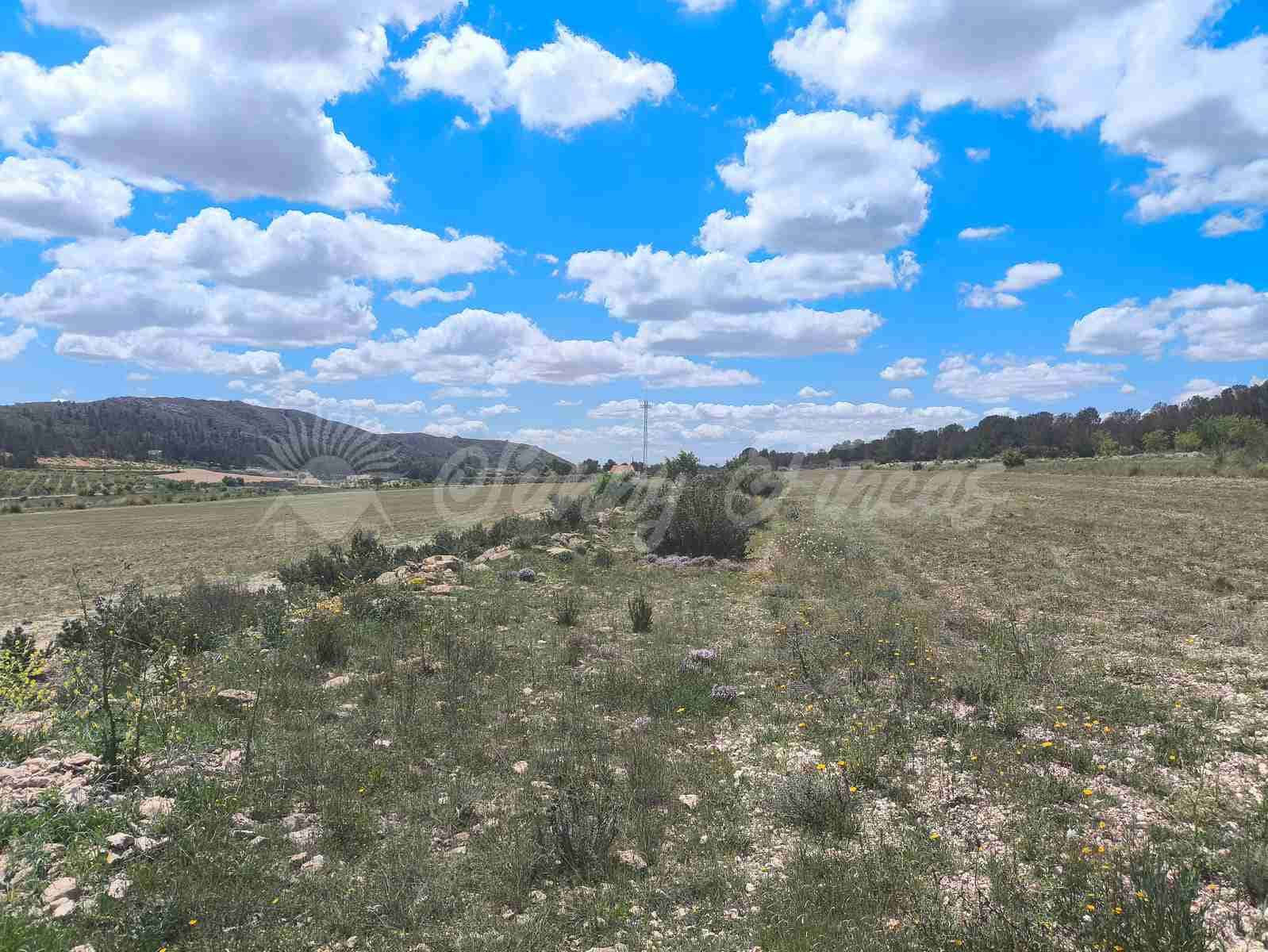 2 bedroom Finca/Country House for sale in Yecla with pool garage - € 250,000 (Ref: 8954851)