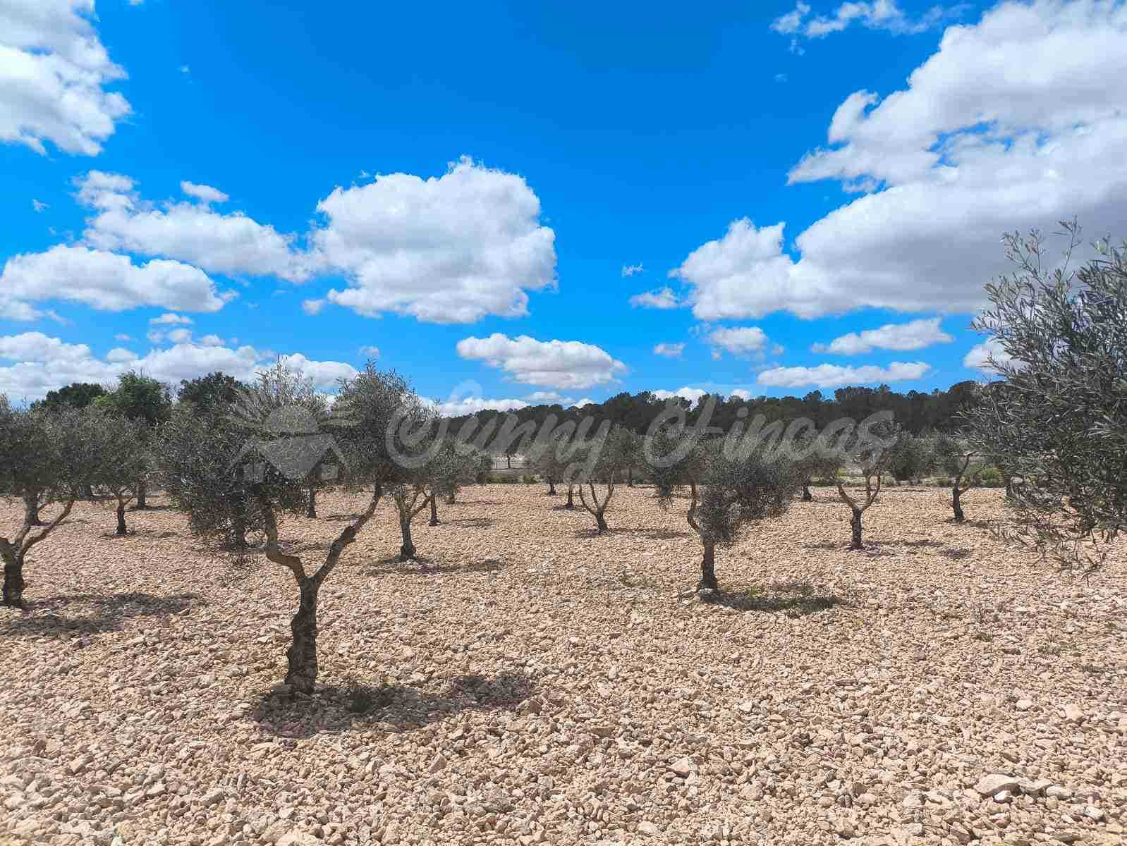 2 bedroom Finca/Country House for sale in Yecla with pool garage - € 250,000 (Ref: 8954851)