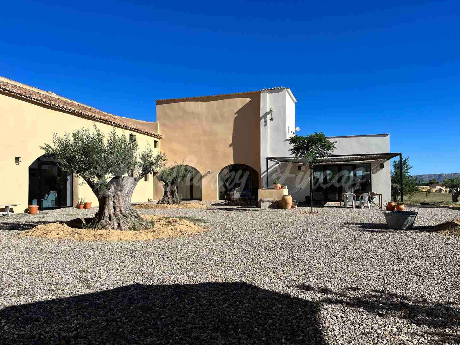 Pensión/Hostal de 5 habitaciones en Almansa en venta con garaje - 799.000 € (Ref: 9006344)