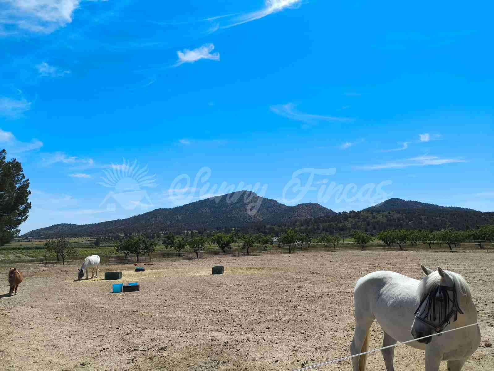 5 camera da letto Finca/Casa di Campagna in vendita in Yecla con piscina garage - 219.000 € (Rif: 9006552)