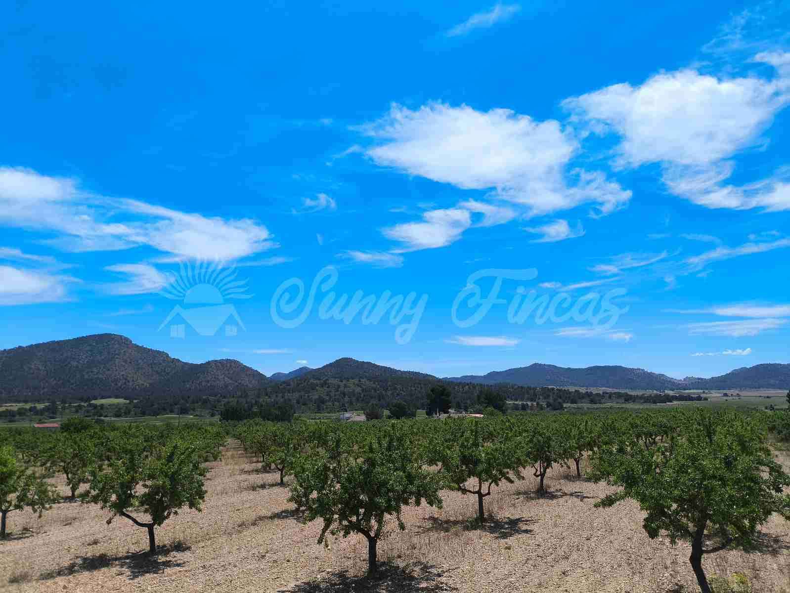 5 camera da letto Finca/Casa di Campagna in vendita in Yecla con piscina garage - 219.000 € (Rif: 9006552)