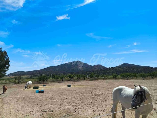 Finca/Casa Rural de 5 habitaciones en Yecla en venta con piscina garaje - 219.000 € (Ref: 9006552)
