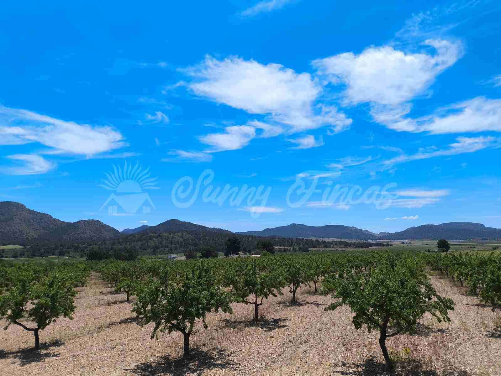 5 camera da letto Finca/Casa di Campagna in vendita in Yecla con piscina garage - 219.000 € (Rif: 9006552)