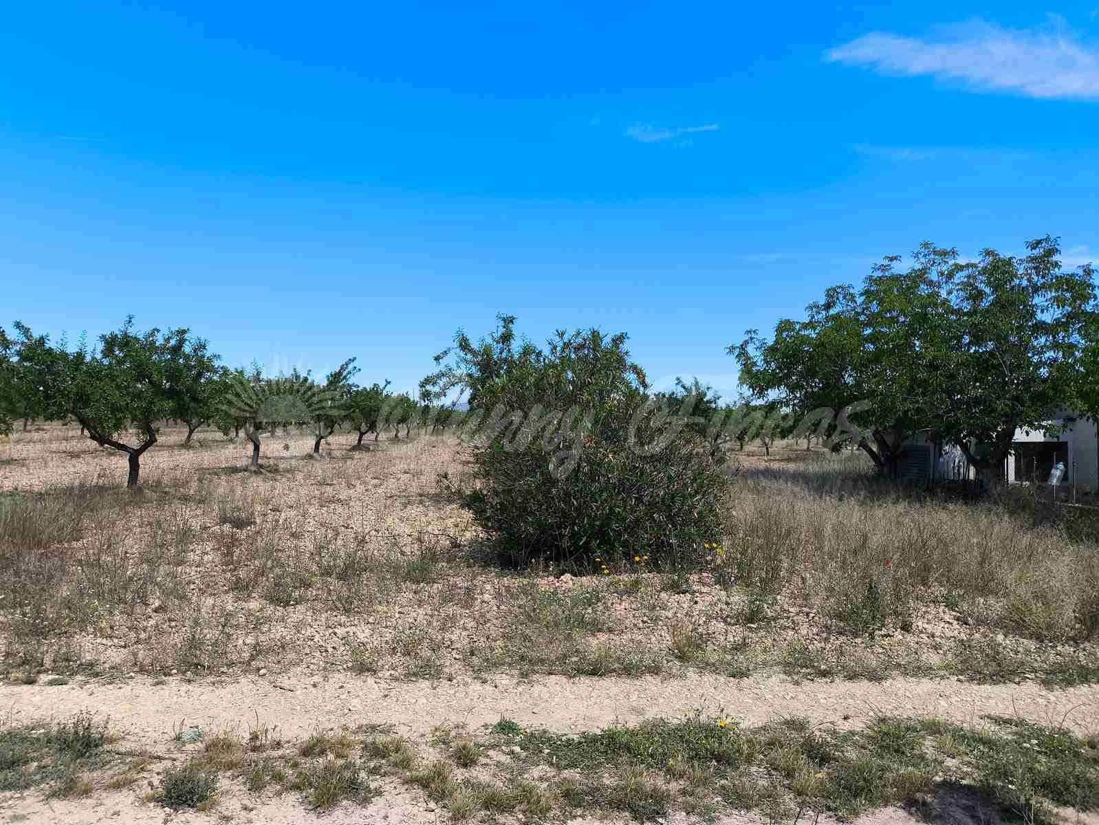 5 camera da letto Finca/Casa di Campagna in vendita in Yecla con piscina garage - 219.000 € (Rif: 9006552)