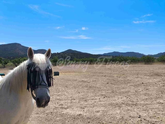 Finca/Casa Rural de 5 habitaciones en Yecla en venta con piscina garaje - 219.000 € (Ref: 9006552)