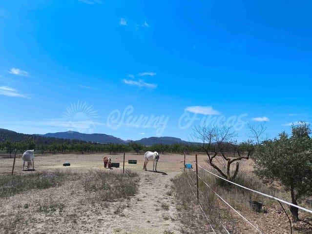 Finca/Casa Rural de 5 habitaciones en Yecla en venta con piscina garaje - 219.000 € (Ref: 9006552)