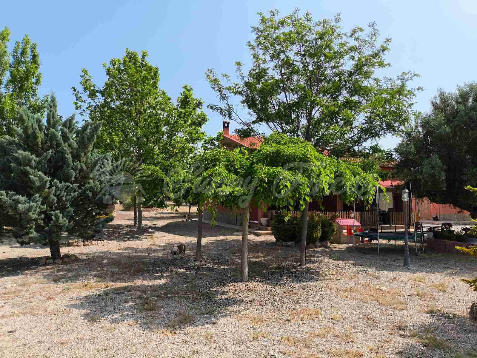 5 camera da letto Finca/Casa di Campagna in vendita in Almansa - 199.000 € (Rif: 9033288)