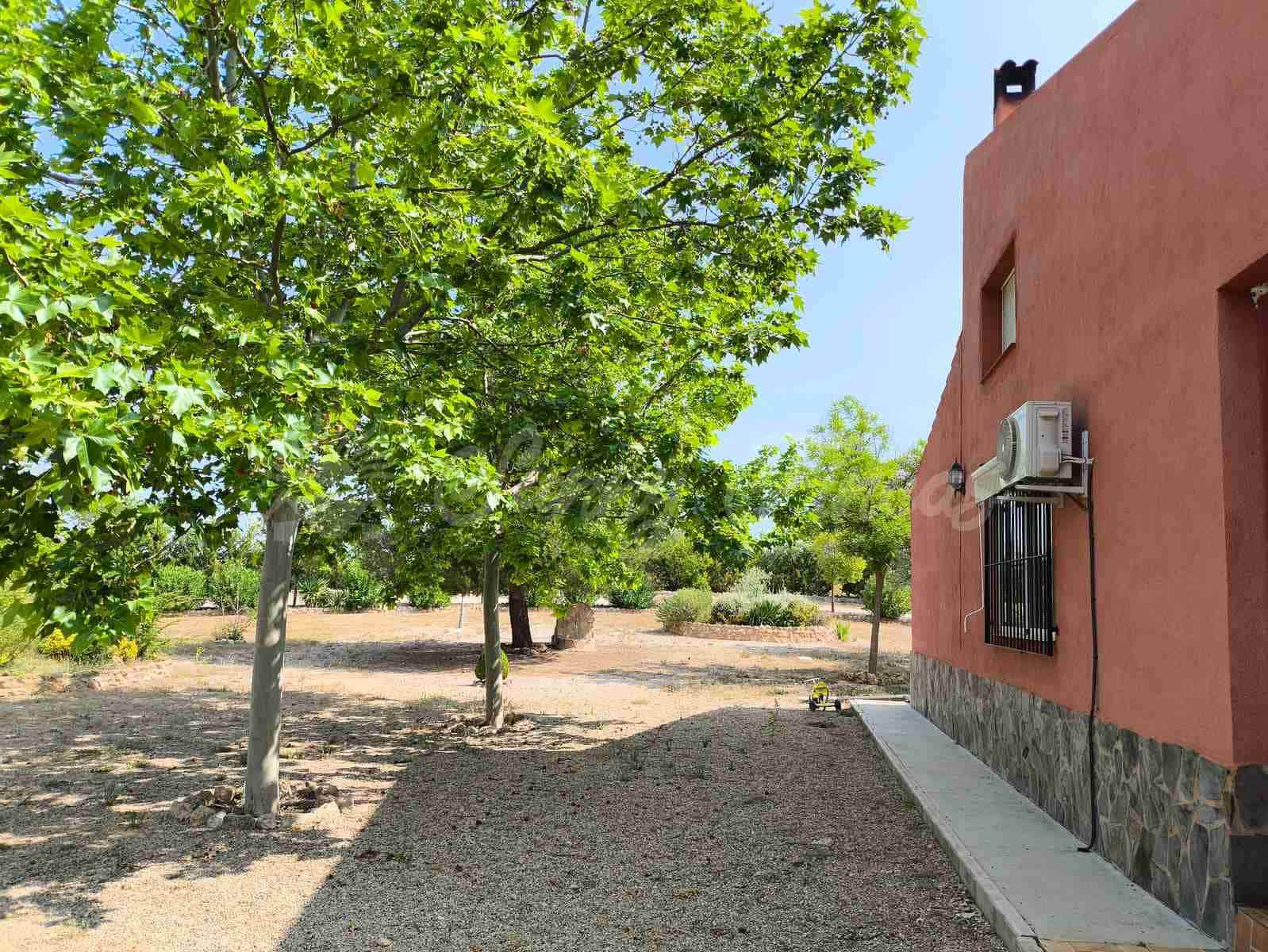 5 camera da letto Finca/Casa di Campagna in vendita in Almansa - 199.000 € (Rif: 9033288)