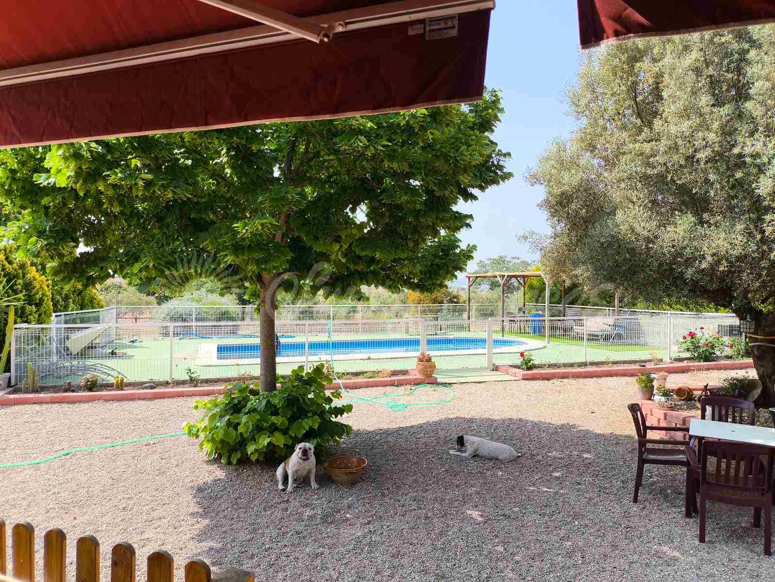 5 camera da letto Finca/Casa di Campagna in vendita in Almansa - 199.000 € (Rif: 9033288)