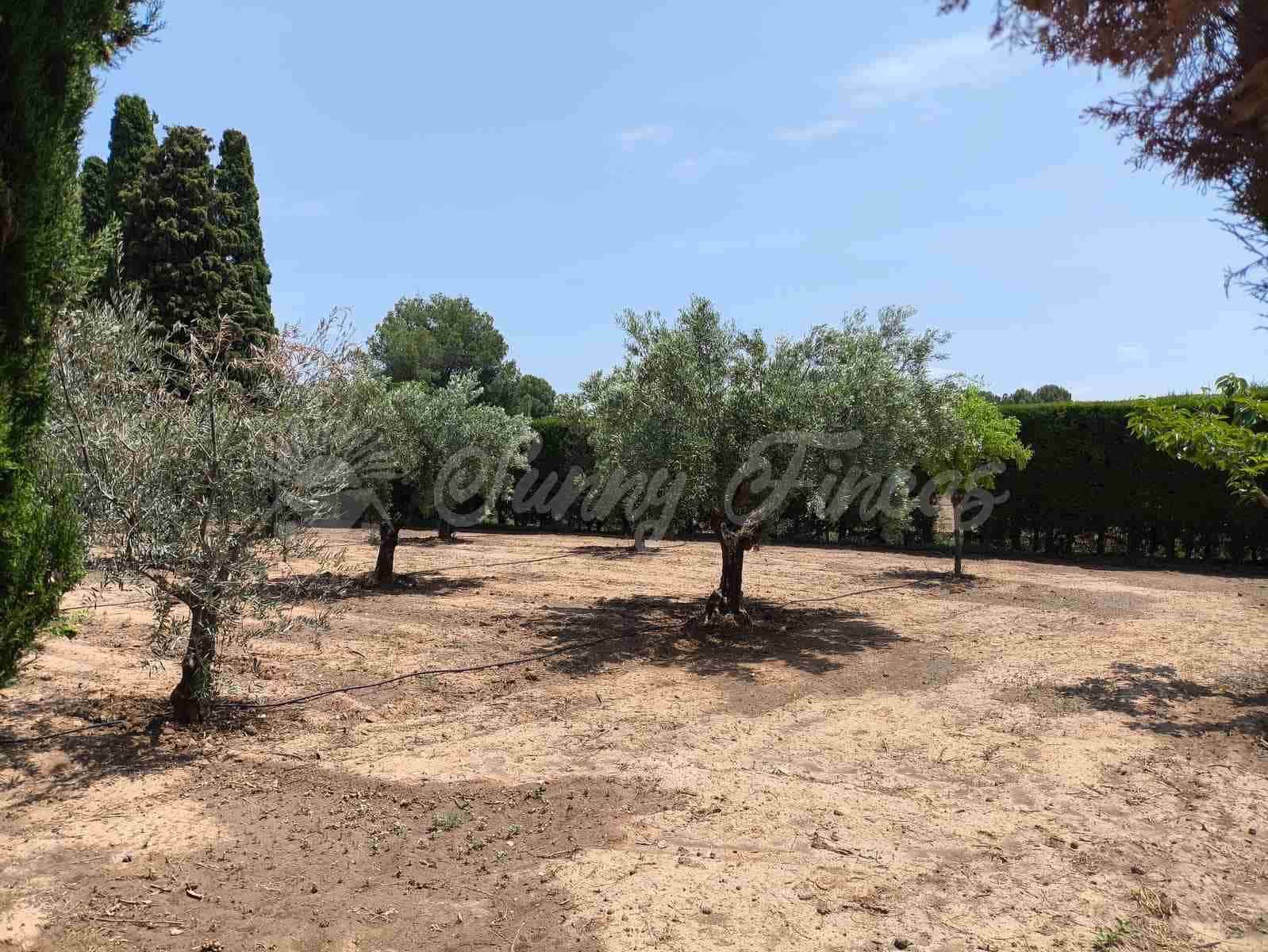 4 soveværelse Rækkehus til salg i Yecla med swimmingpool garage - € 325.000 (Ref: 9033553)