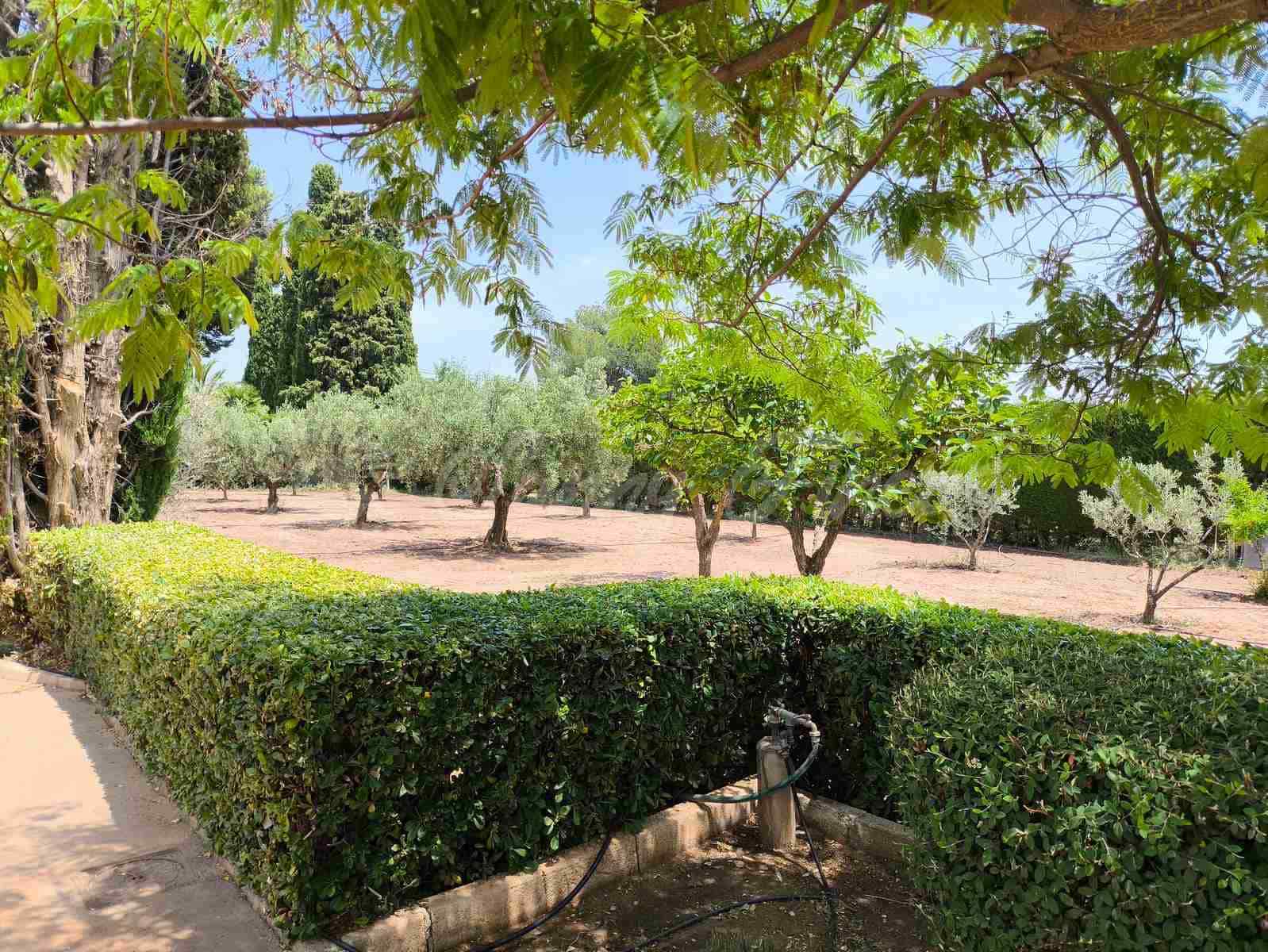 4 soveværelse Rækkehus til salg i Yecla med swimmingpool garage - € 325.000 (Ref: 9033553)