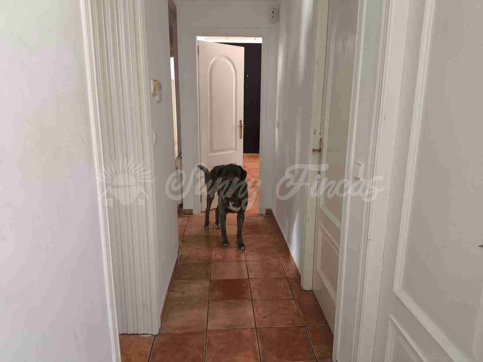 6 slaapkamer Finca/Landhuis te koop in Villena met zwembad garage - € 369.000 (Ref: 9092183)