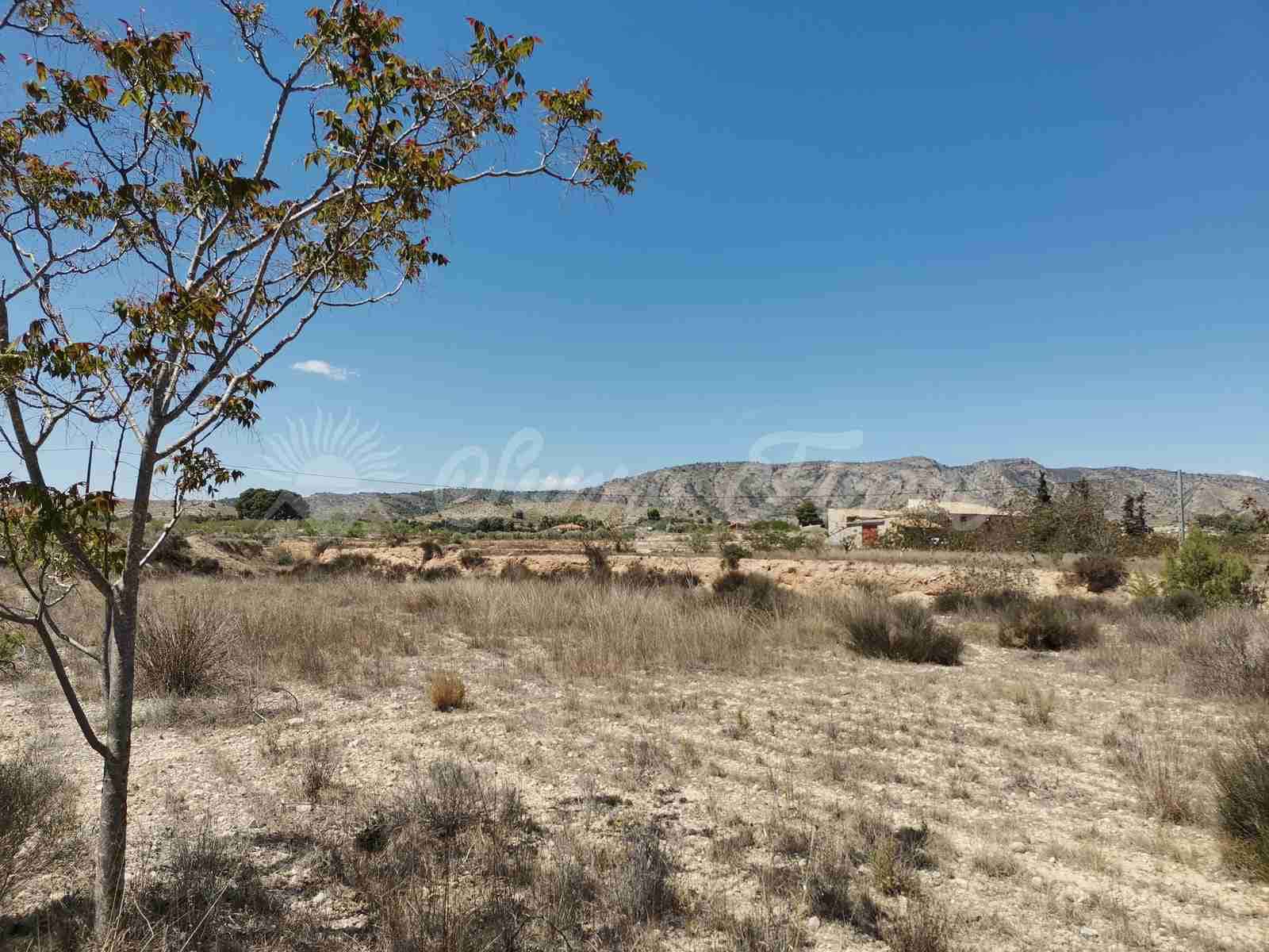 6 quarto Quinta/Casa Rural para venda em Monovar / Monover com piscina garagem - 164 950 € (Ref: 9216115)