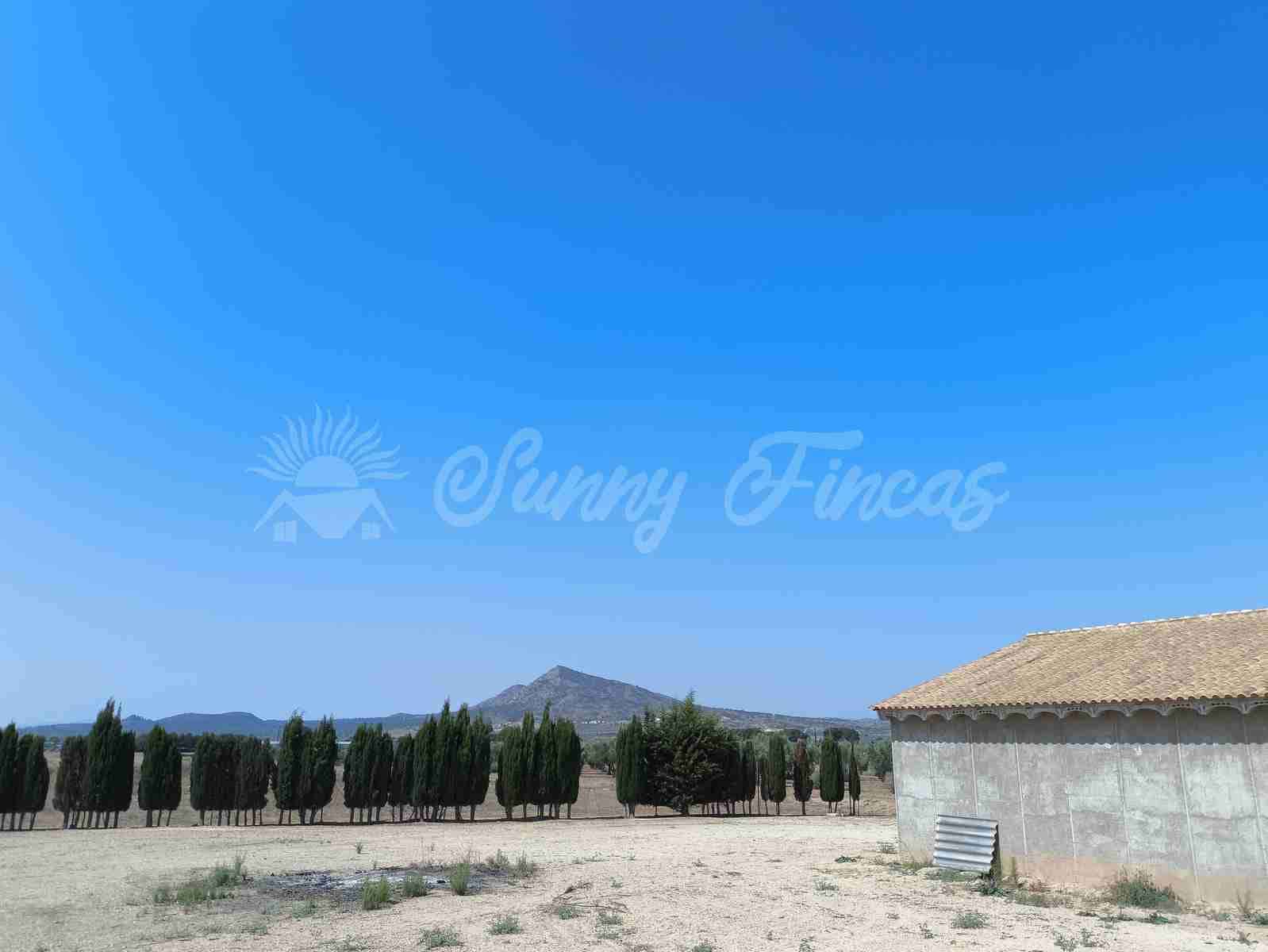 Finca/Landehus til salg i Caudete - € 95.000 (Ref: 9219494)