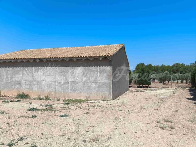 Finca/Landehus til salg i Caudete - € 95.000 (Ref: 9219494)