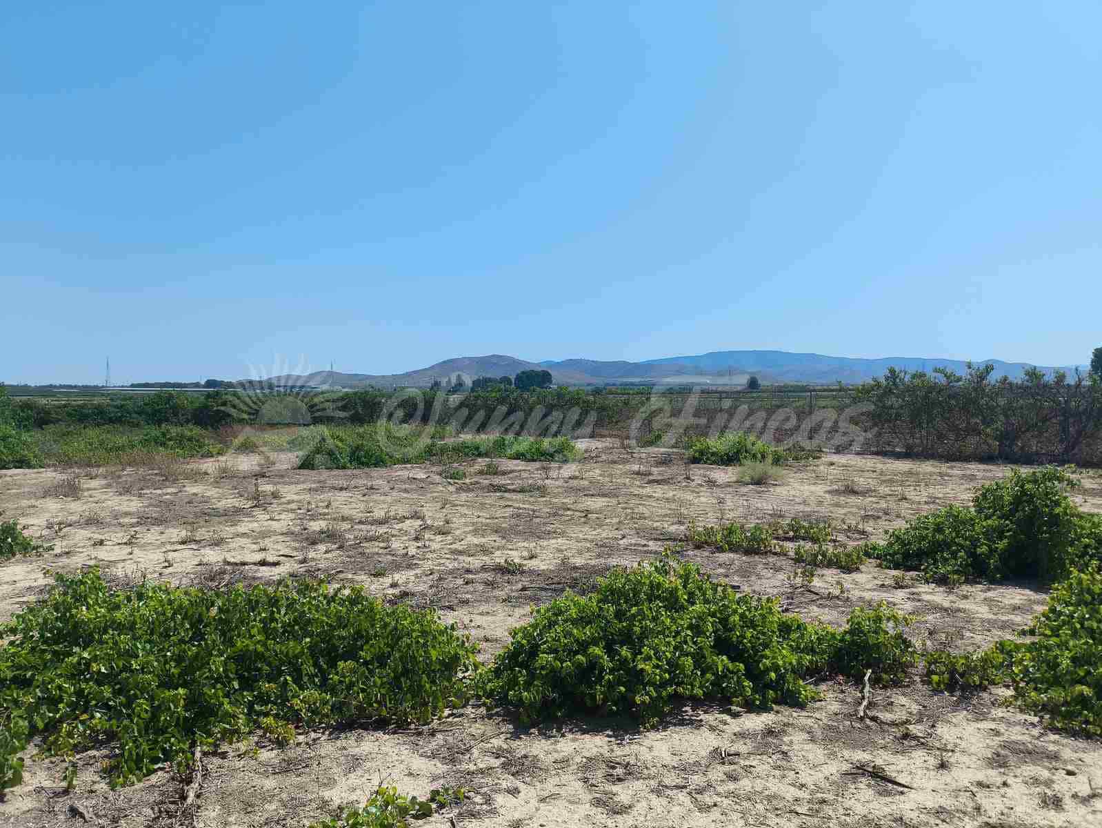 Finca/Landehus til salg i Caudete - € 87.000 (Ref: 9219602)