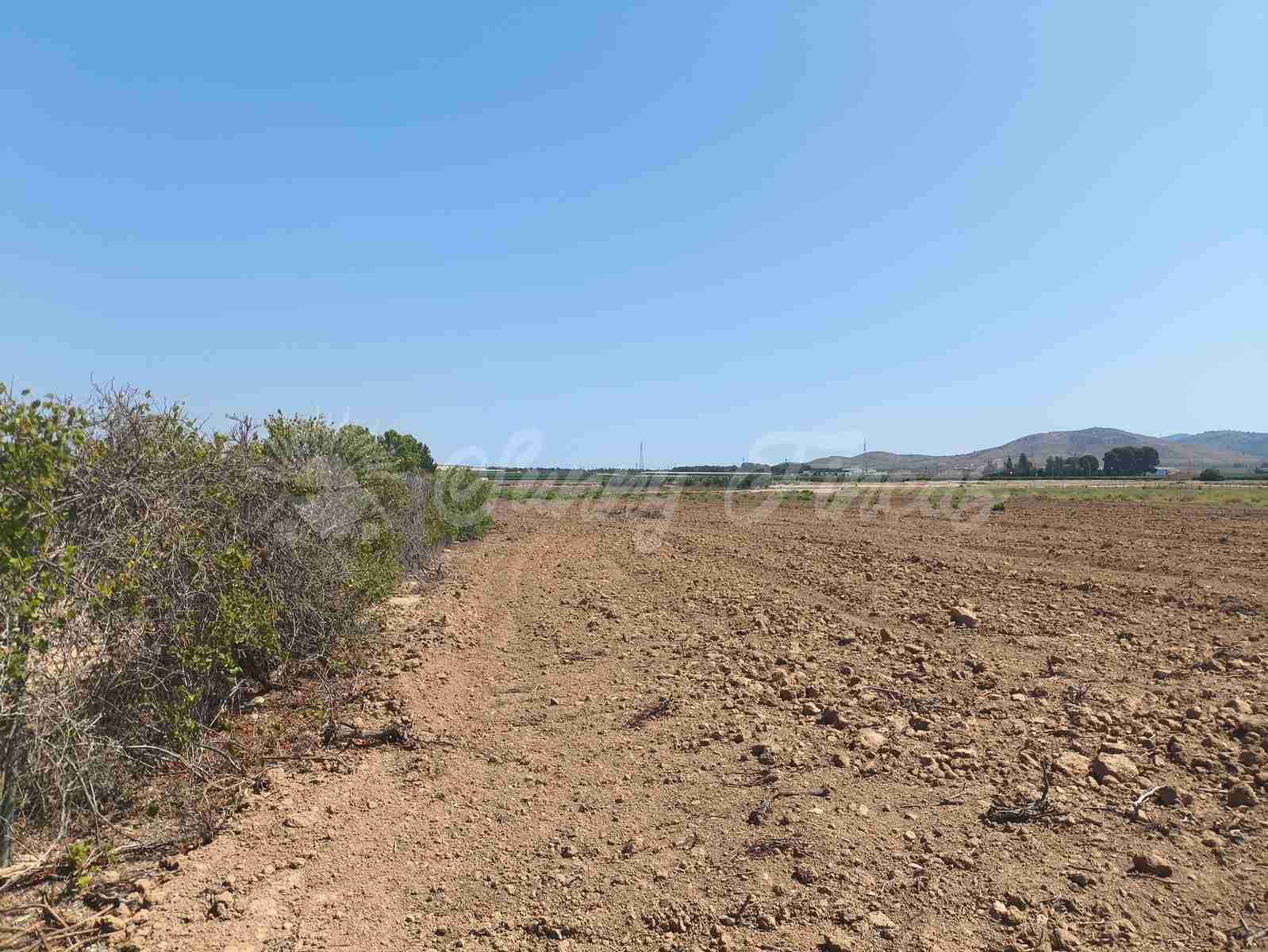 Finca/Landehus til salg i Caudete - € 87.000 (Ref: 9219602)