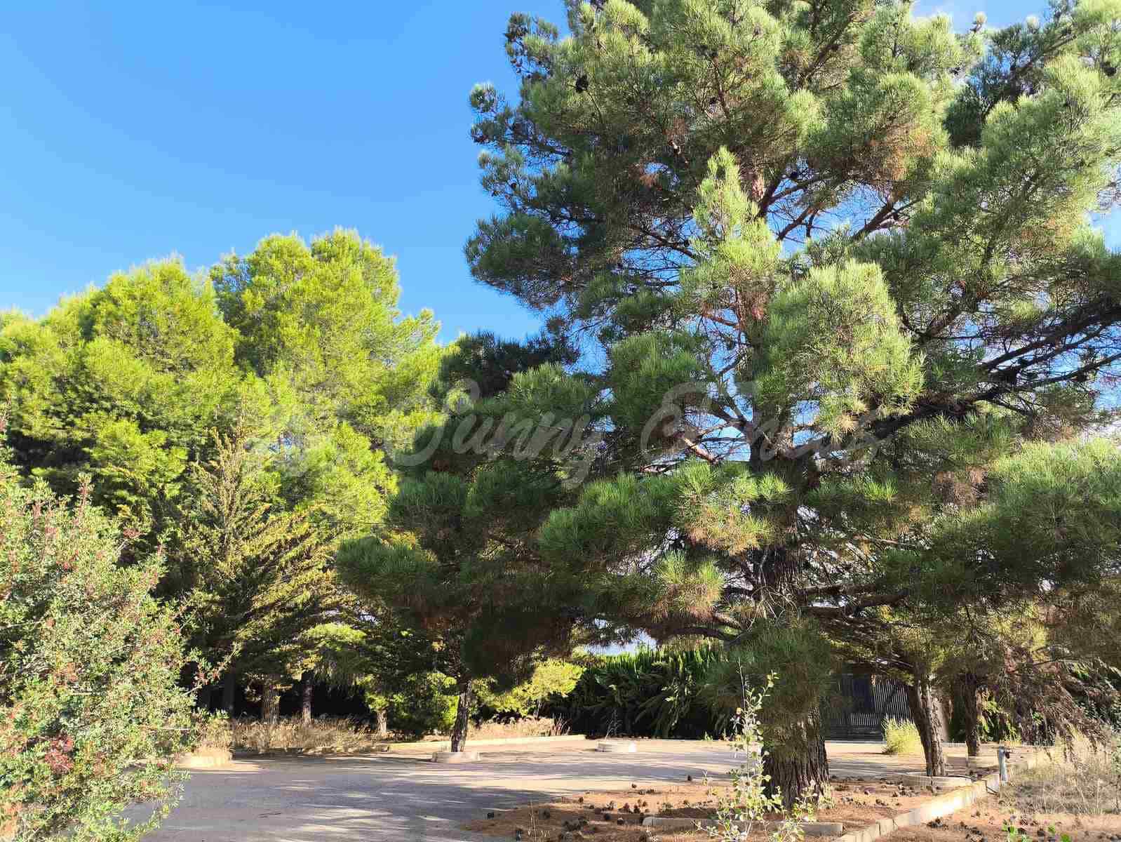 4 soveværelse Villa til salg i Yecla med garage - € 299.000 (Ref: 9282581)