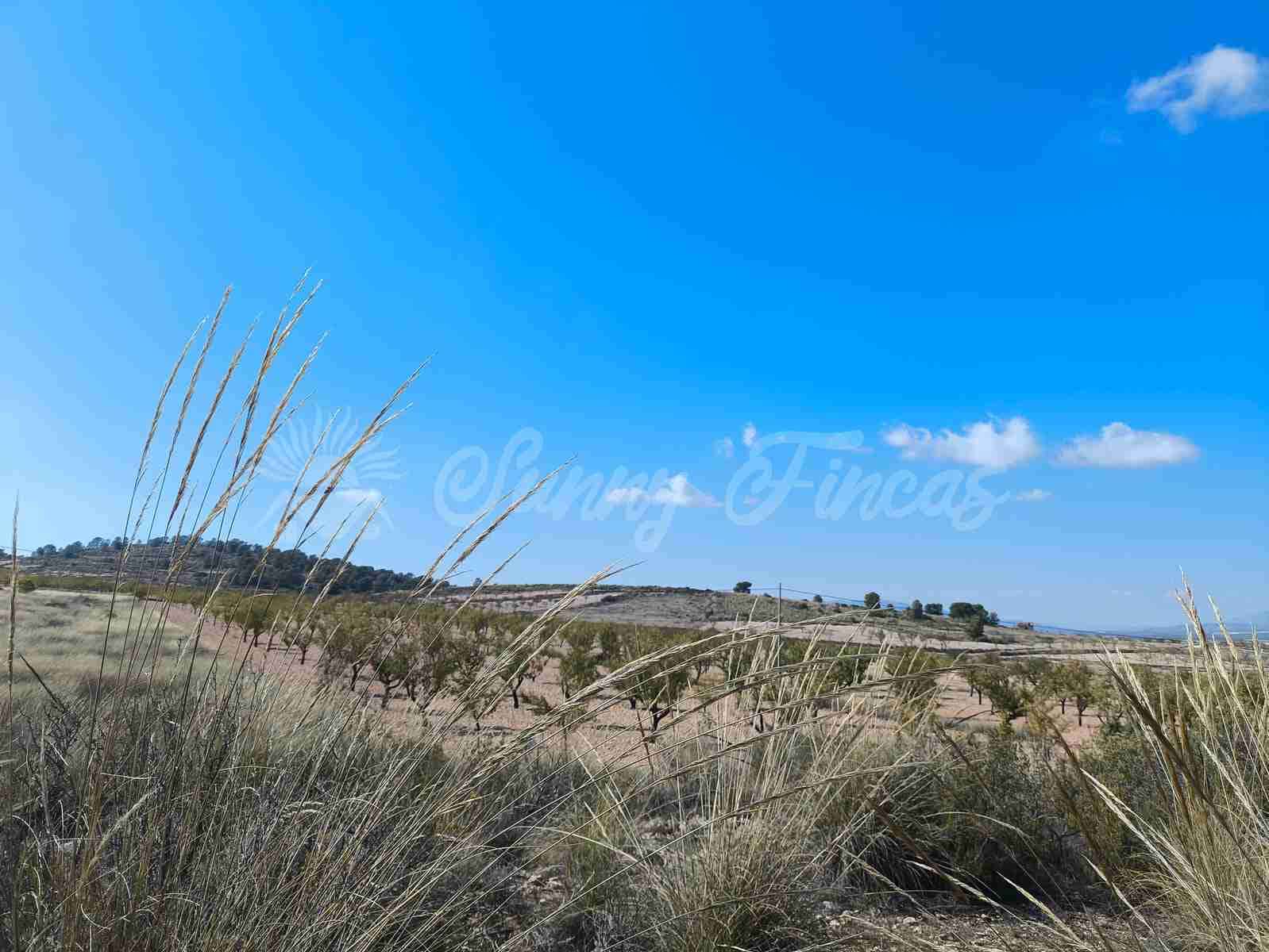 Grond te koop in Jumilla - € 29.900 (Ref: 9339234)