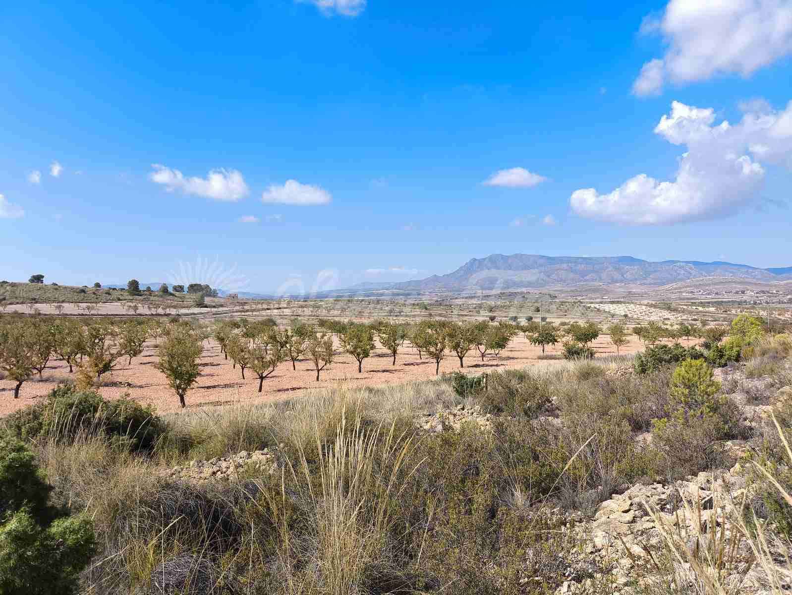 Grond te koop in Jumilla - € 29.900 (Ref: 9339234)